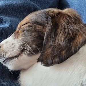 Meet your Posher, Dave